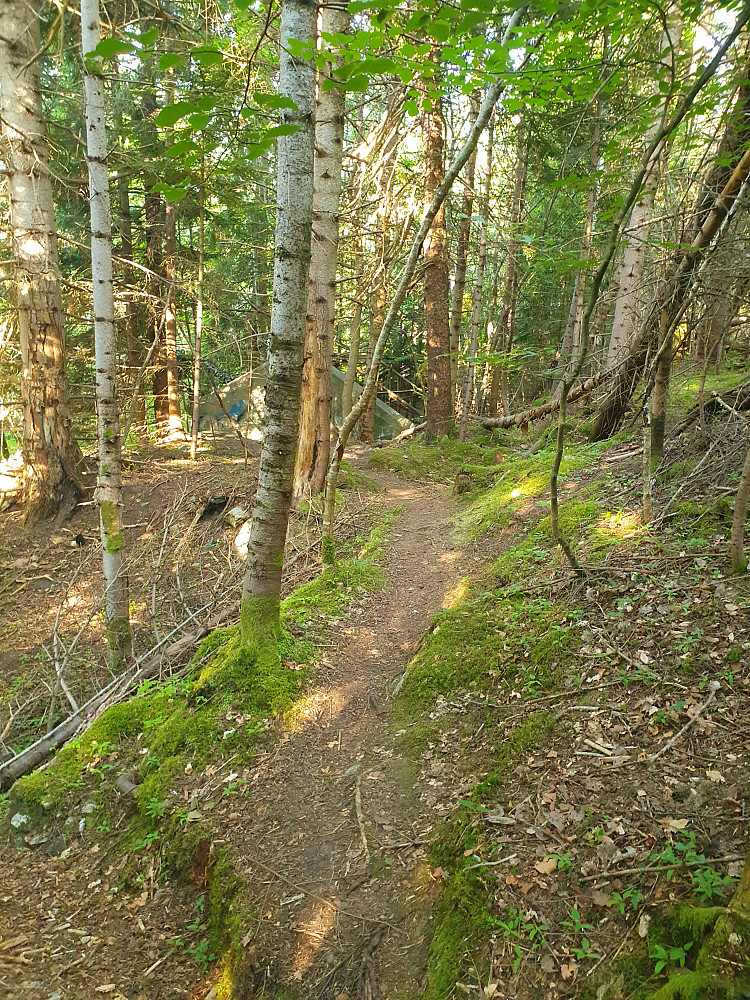 Retiroskogen 