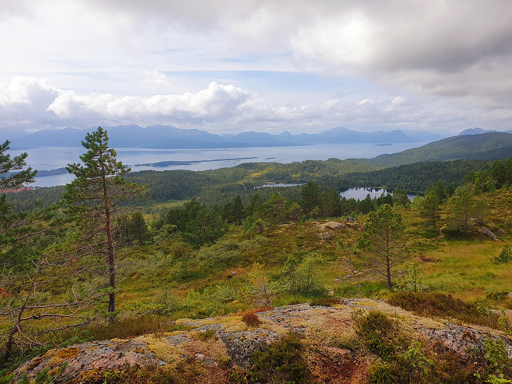 Oppe på Haukarheia 