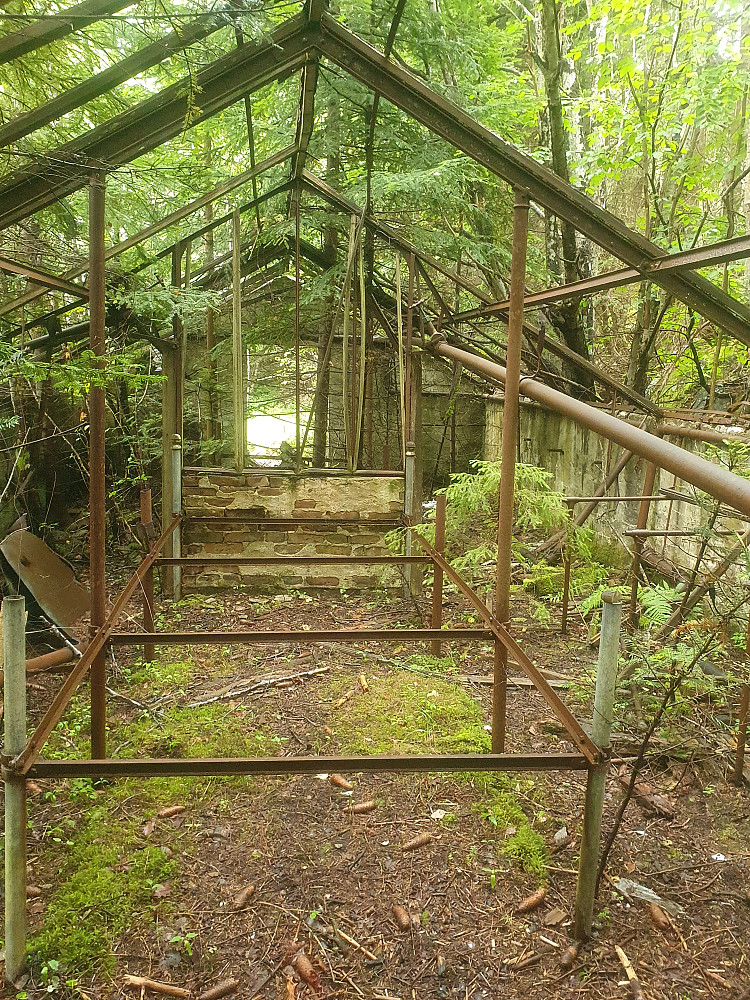 Det gamle veksthuset i skogen 
