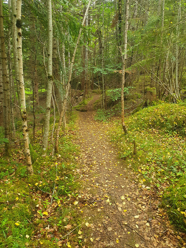 Retiroskogen 
