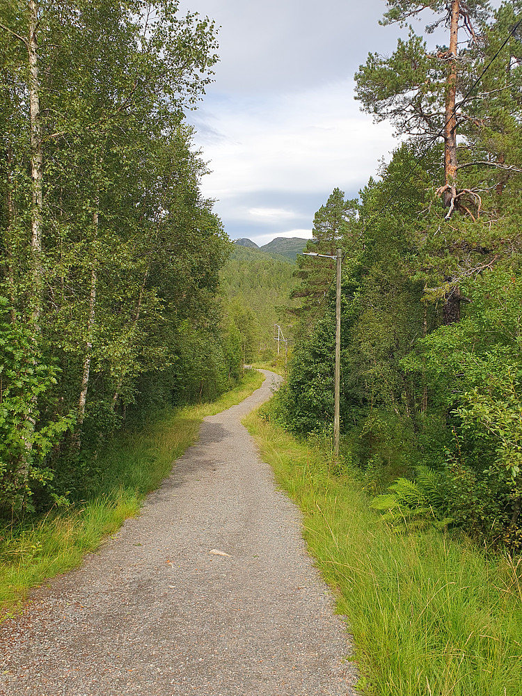 I lysløypa 