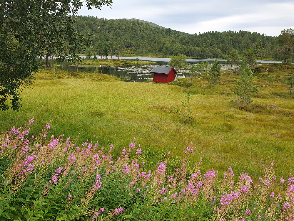 V/Øverlandsvatnet 