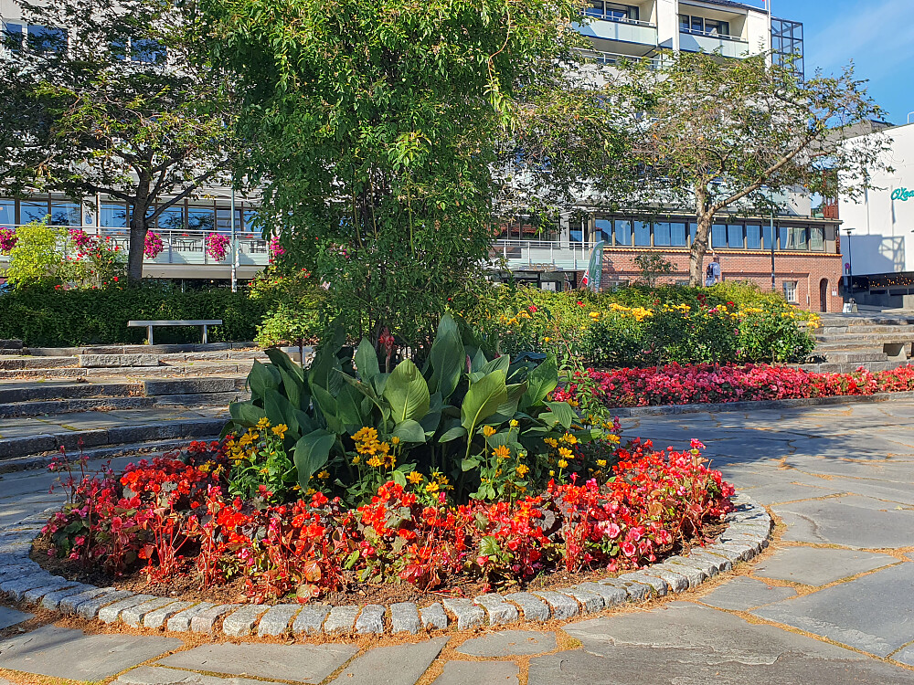 Alexandraparken 