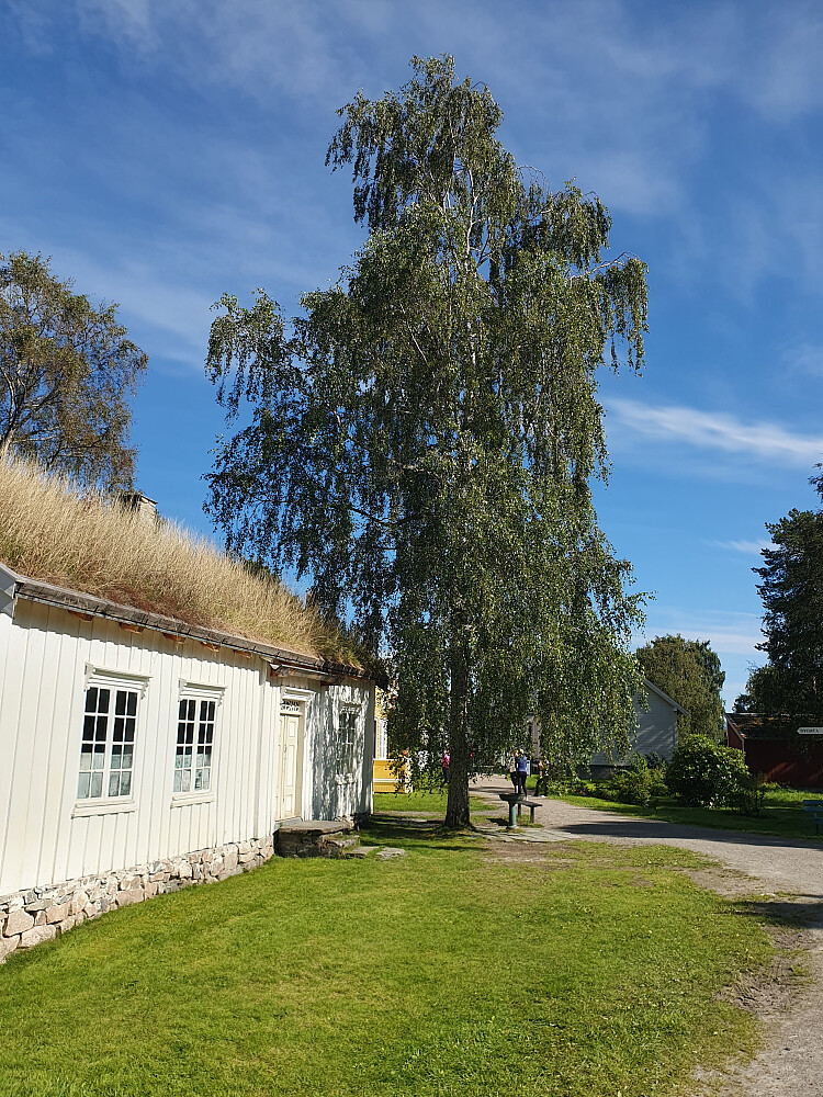 Romsdalsmuseet 