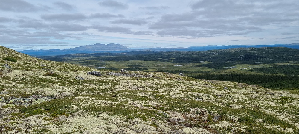 Fra skaret vest for Nubben, mot sølen i Nord