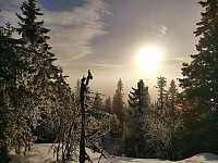 Jørgen_20220122_61ec314ab9fc9.jpg