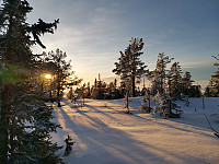 Jørgen_20220122_61ec314be50c7.jpg