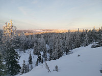 Jørgen_20220122_61ec314c7ef27.jpg