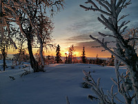 Jørgen_20220122_61ec314e52e4c.jpg