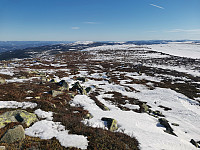 Jørgen_20220320_6237484df40bb.jpg