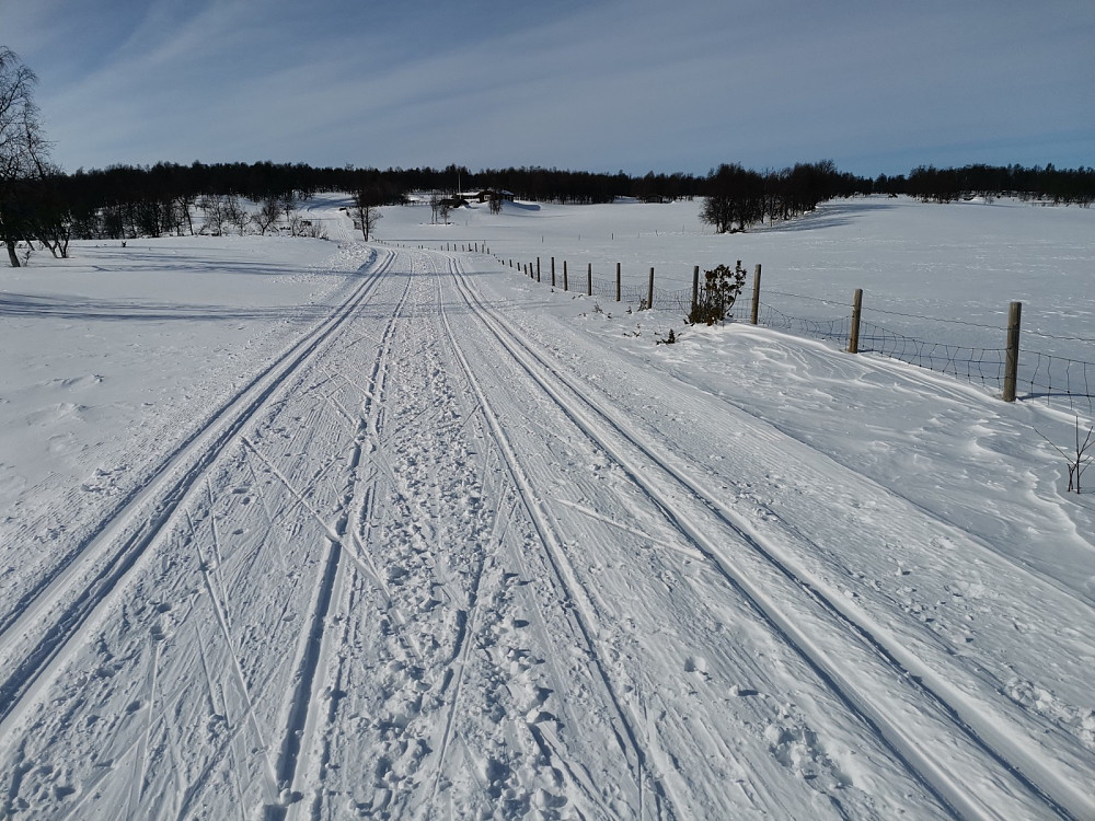 Fine løyper opp mot Haugsvollen.