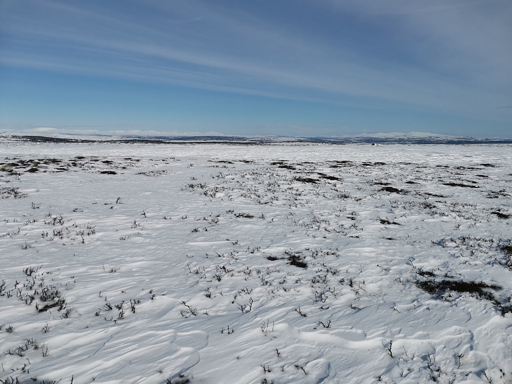 Mot Røros fjella. Vigelfjell og Sylan