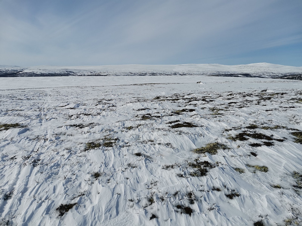 Dalbusjøhøgda, Åslifjellet og Urdtangen