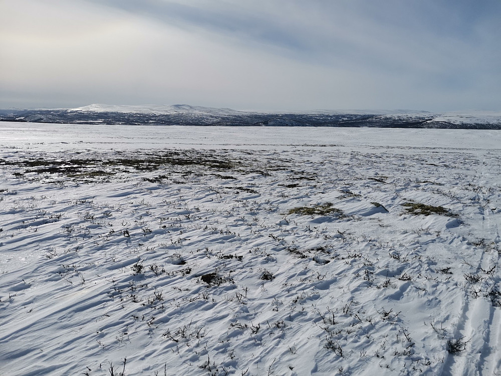 Langfjellshognen.