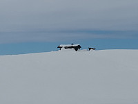 Jørgen_20220414_6257d94e3d01d.jpg