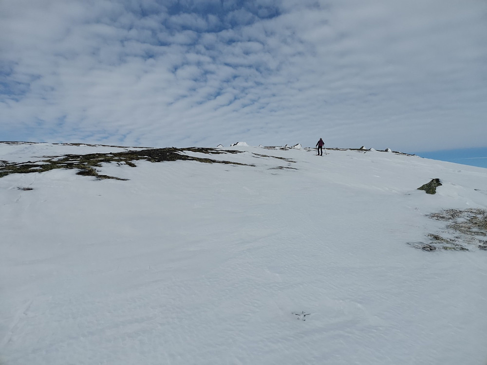 Entre av Dalbusjøhøgda.