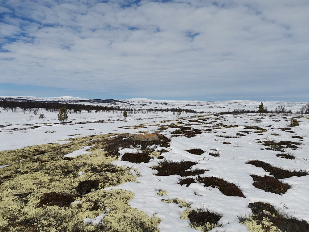 Rødsjøhøgda, Nyvollhøgda, Revsjøåsen, Berghøgda fra Storfjellsjøen.