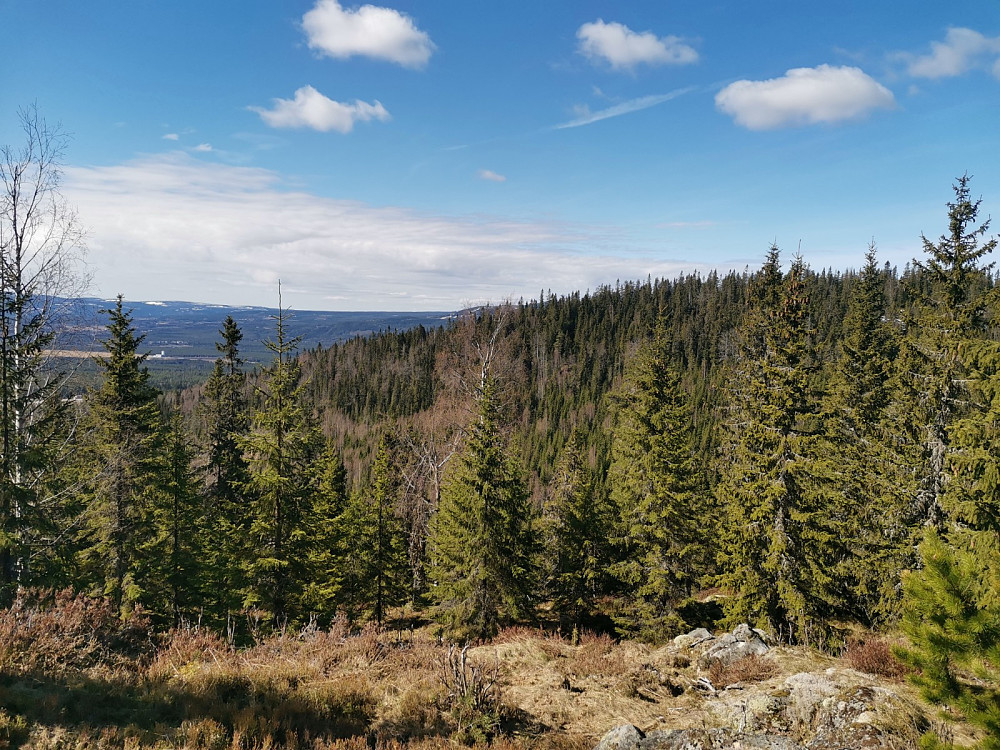 Vestre Ygelkletten til høyre. Landsørkje og Digeråsen skimtes.
