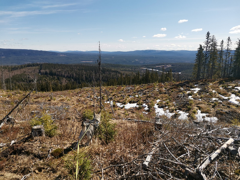 Fra Østre Ygelkletten mot Rakskiftet og Trysil fjellet. Yglsjøen ser vi også.
