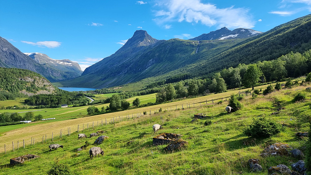 Eidsdalsvatnet med Eidshornet