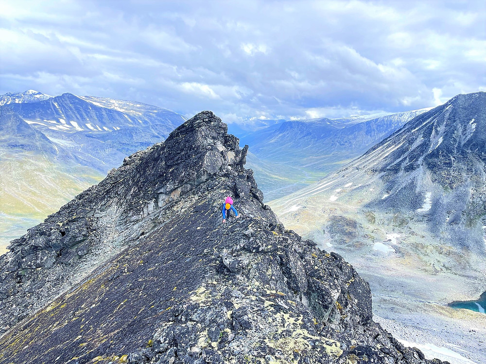 Mye våt og glatt mose oppover ryggen. Tok det forsiktig her. Ellers må ryggen opp være noe av det løseste man finner i Jotunheimen.