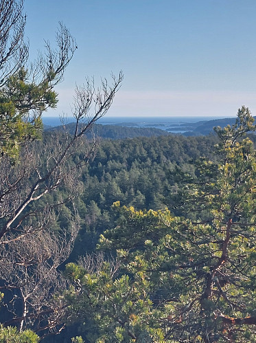 Langøybratten og Stråholmen.