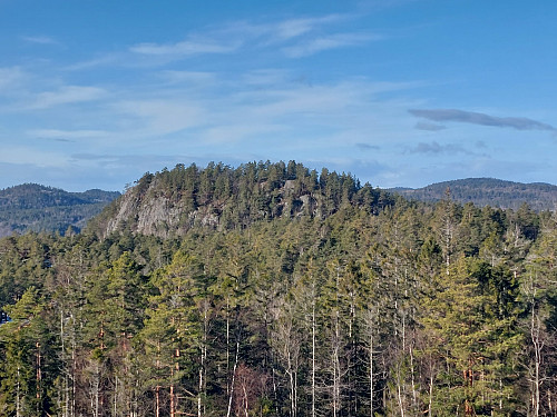 Skjærsjøknuten fra Løveråsen