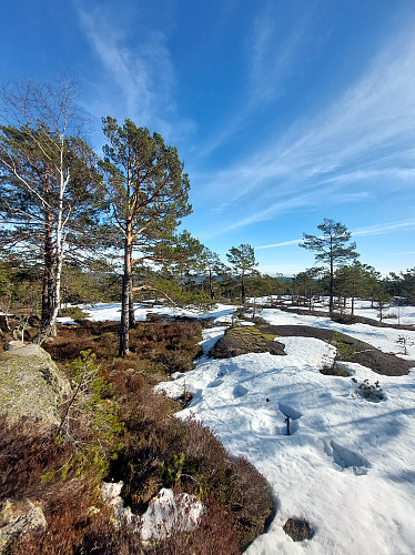 Øyfjellheia