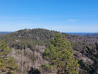 Arvid1965_20220419_625e4720aa4c4.jpg