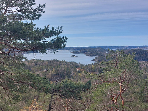 Utsikt på toppen av lia
