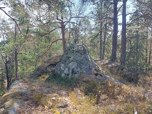 Leiken