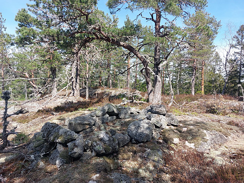 Bjønnkollen