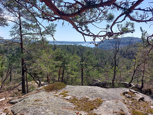 Fin utsikt framme på kanten