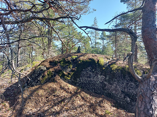 Toppunkt Langøybratten