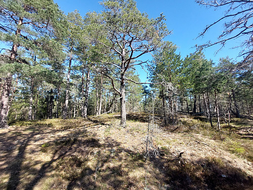 Toppunkt Skarheia