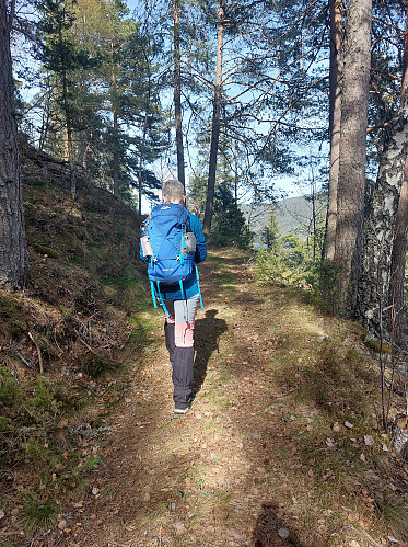 På vei til Husfjell
