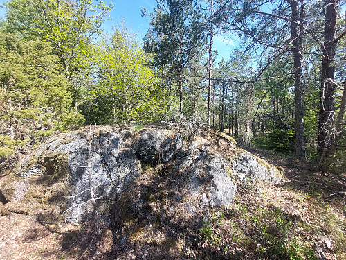 Toppunkt