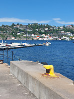 Arvid1965_20220608_62a09b5700150.jpg