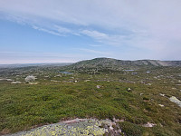 Arvid1965_20220802_62e92cf885dd2.jpg