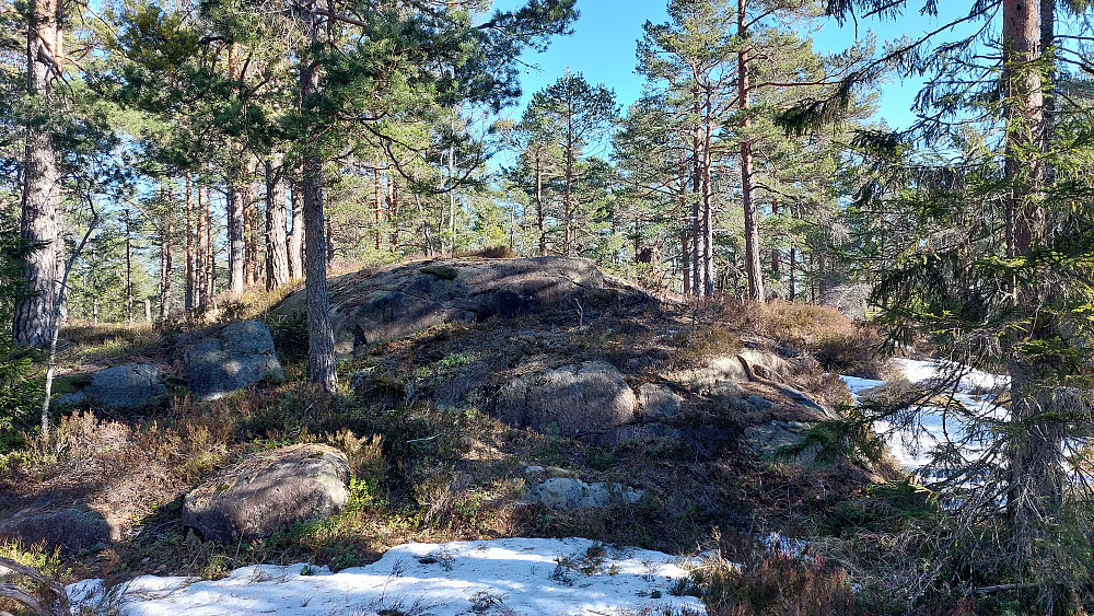 Toppunktet på Gærntorheia