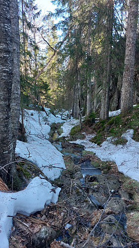 Fulgte bekkedalen oppover