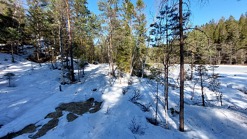 Forbi Lille Fiskvann