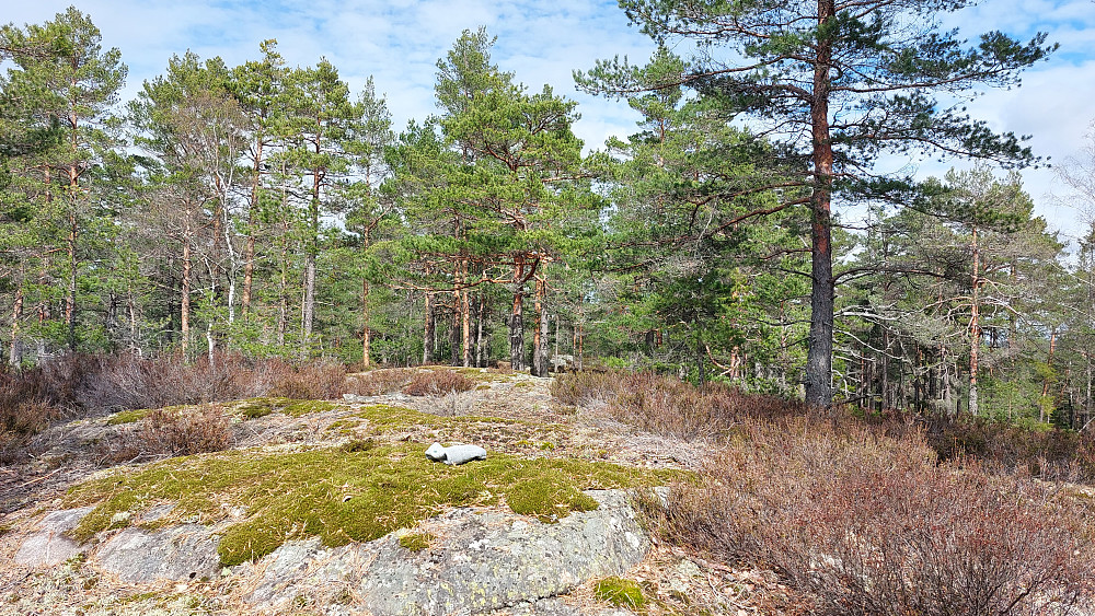  Toppen