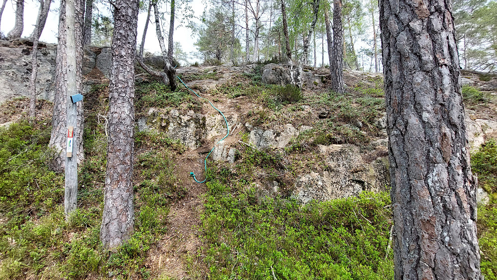 Tausikring