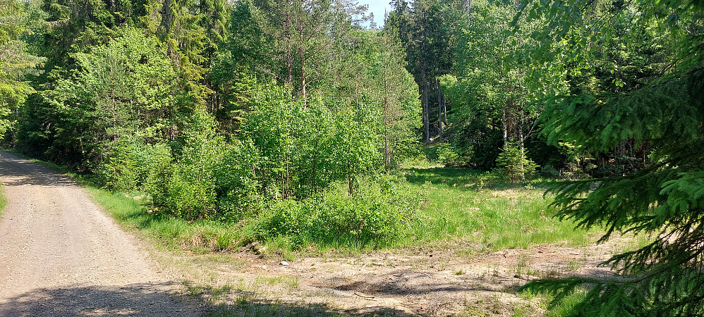 Tok opp til høyre her