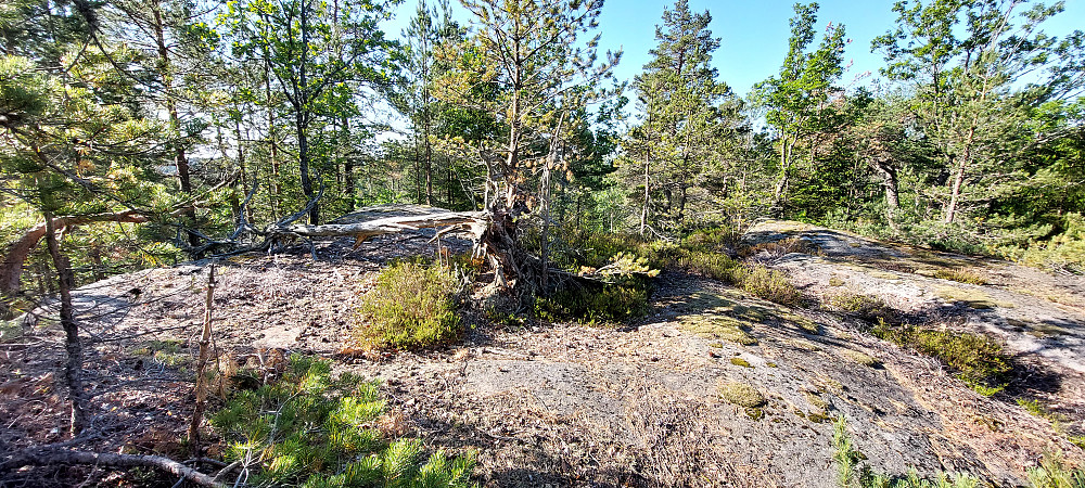 Toppen på Tråvassåsen