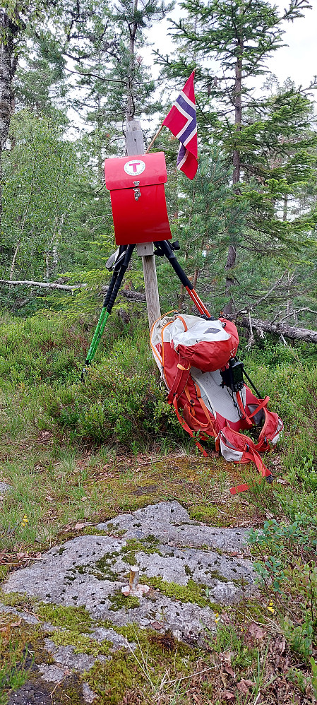 Presteseteråsen Øst