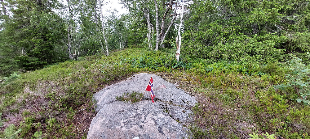 Annevasshøgda