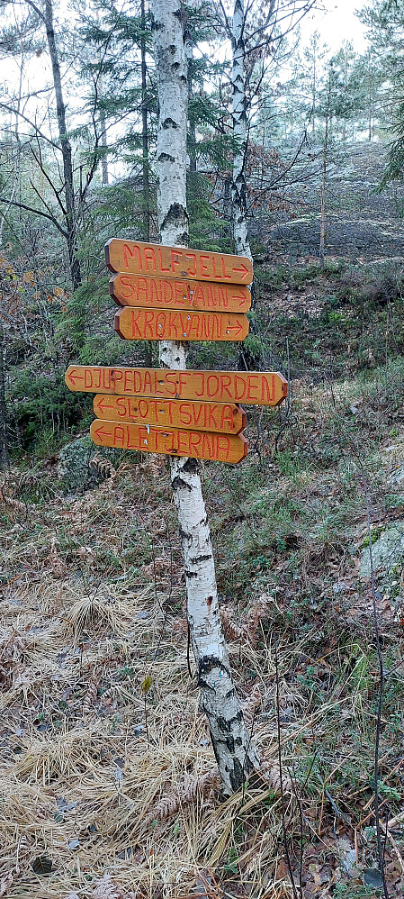 Første stidele