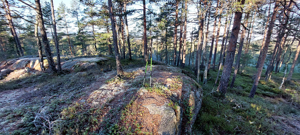  Lomtjernknuten